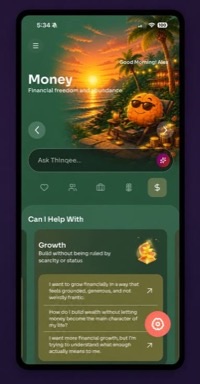 Money dimension in the Thinqee app